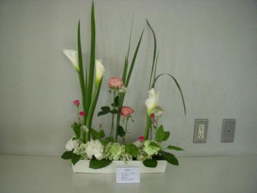photo022