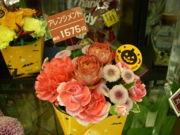 dscn4128